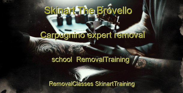 Skinart The Brovello Carpugnino expert removal school | #RemovalTraining #RemovalClasses #SkinartTraining-Italy