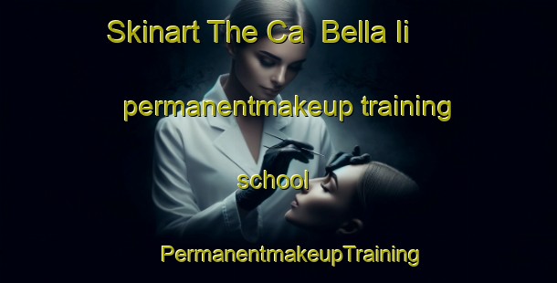 Skinart The Ca  Bella Ii permanentmakeup training school | #PermanentmakeupTraining #PermanentmakeupClasses #SkinartTraining-Italy