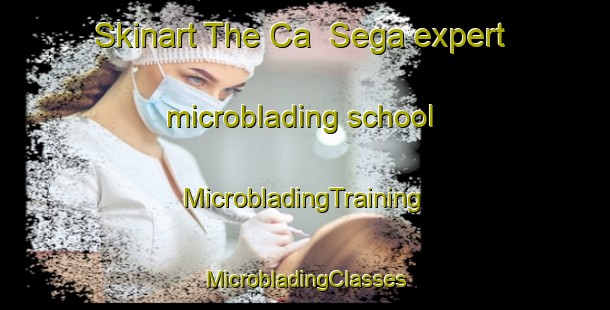 Skinart The Ca  Sega expert microblading school | #MicrobladingTraining #MicrobladingClasses #SkinartTraining-Italy