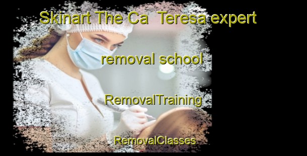 Skinart The Ca  Teresa expert removal school | RemovalTraining | RemovalClasses | SkinartTraining-Italy