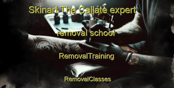Skinart The Callate expert removal school | RemovalTraining | RemovalClasses | SkinartTraining-Italy