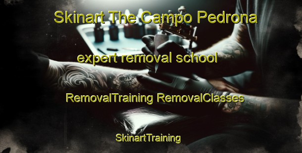 Skinart The Campo Pedrona expert removal school | #RemovalTraining #RemovalClasses #SkinartTraining-Italy