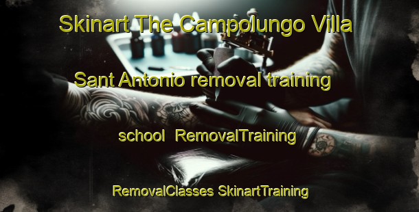 Skinart The Campolungo Villa Sant Antonio removal training school | #RemovalTraining #RemovalClasses #SkinartTraining-Italy