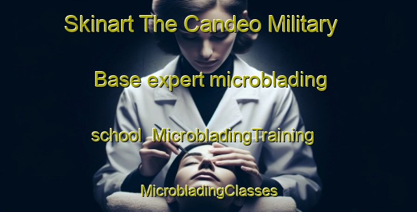 Skinart The Candeo Military Base expert microblading school | #MicrobladingTraining #MicrobladingClasses #SkinartTraining-Italy