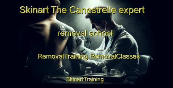 Skinart The Canestrelle expert removal school | #RemovalTraining #RemovalClasses #SkinartTraining-Italy