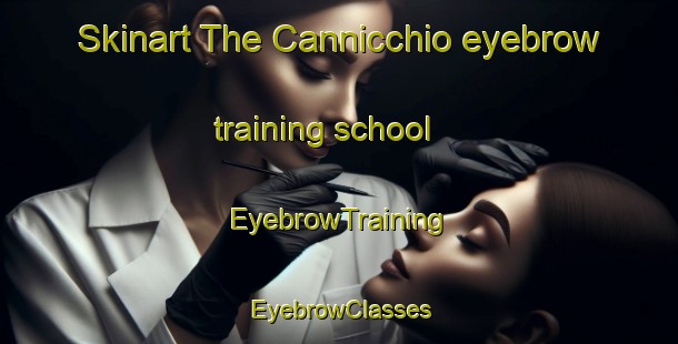 Skinart The Cannicchio eyebrow training school | EyebrowTraining | EyebrowClasses | SkinartTraining-Italy