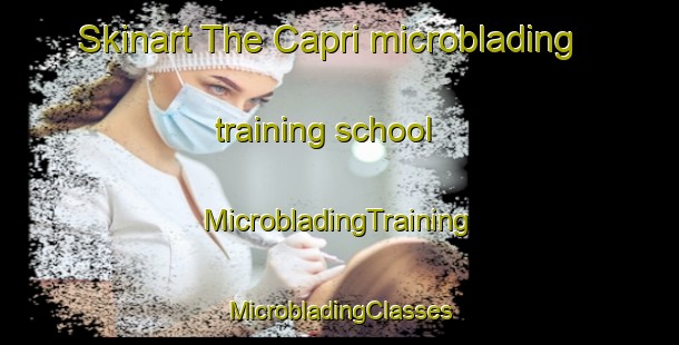 Skinart The Capri microblading training school | #MicrobladingTraining #MicrobladingClasses #SkinartTraining-Italy