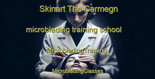 Skinart The Carmegn microblading training school | #MicrobladingTraining #MicrobladingClasses #SkinartTraining-Italy