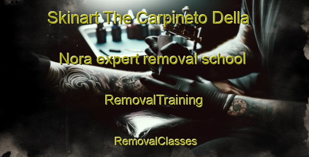 Skinart The Carpineto Della Nora expert removal school | RemovalTraining | RemovalClasses | SkinartTraining-Italy