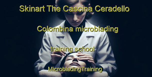 Skinart The Cascina Ceradello Colombina microblading training school | #MicrobladingTraining #MicrobladingClasses #SkinartTraining-Italy