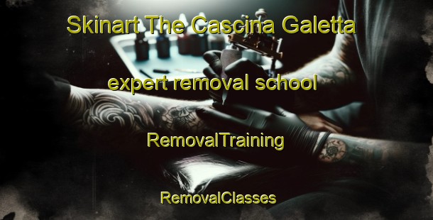 Skinart The Cascina Galetta expert removal school | RemovalTraining | RemovalClasses | SkinartTraining-Italy