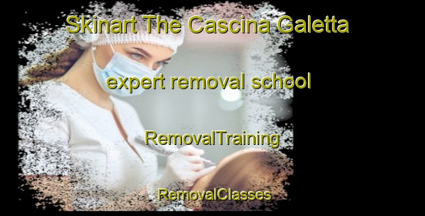 Skinart The Cascina Galetta expert removal school | RemovalTraining | RemovalClasses | SkinartTraining-Italy