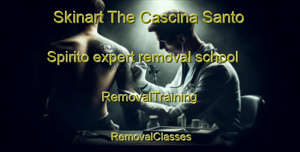 Skinart The Cascina Santo Spirito expert removal school | RemovalTraining | RemovalClasses | SkinartTraining-Italy