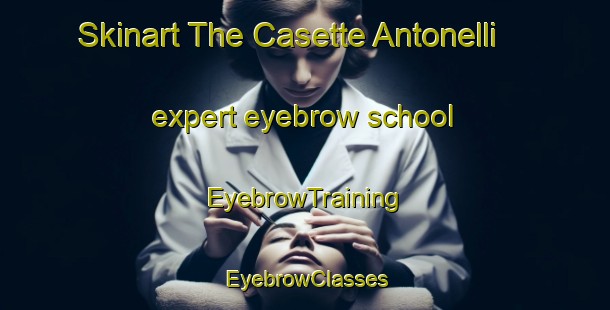 Skinart The Casette Antonelli expert eyebrow school | EyebrowTraining | EyebrowClasses | SkinartTraining-Italy