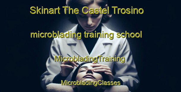 Skinart The Castel Trosino microblading training school | #MicrobladingTraining #MicrobladingClasses #SkinartTraining-Italy