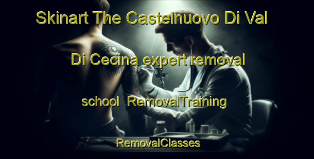 Skinart The Castelnuovo Di Val Di Cecina expert removal school | RemovalTraining | RemovalClasses | SkinartTraining-Italy