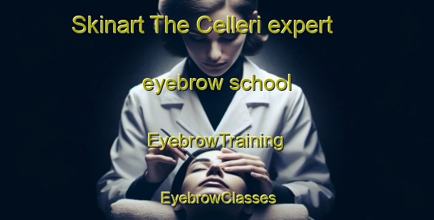 Skinart The Celleri expert eyebrow school | EyebrowTraining | EyebrowClasses | SkinartTraining-Italy