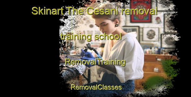 Skinart The Cesani removal training school | RemovalTraining | RemovalClasses | SkinartTraining-Italy