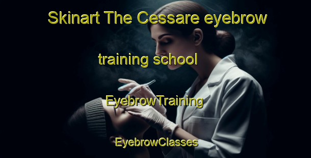Skinart The Cessare eyebrow training school | EyebrowTraining | EyebrowClasses | SkinartTraining-Italy