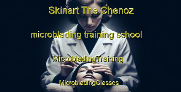 Skinart The Chenoz microblading training school | MicrobladingTraining | MicrobladingClasses | SkinartTraining-Italy