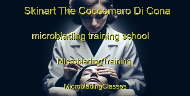 Skinart The Coccomaro Di Cona microblading training school | #MicrobladingTraining #MicrobladingClasses #SkinartTraining-Italy