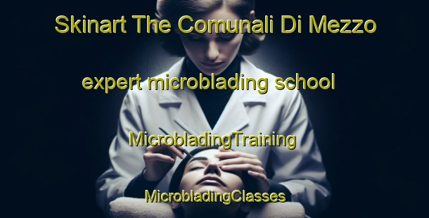 Skinart The Comunali Di Mezzo expert microblading school | #MicrobladingTraining #MicrobladingClasses #SkinartTraining-Italy