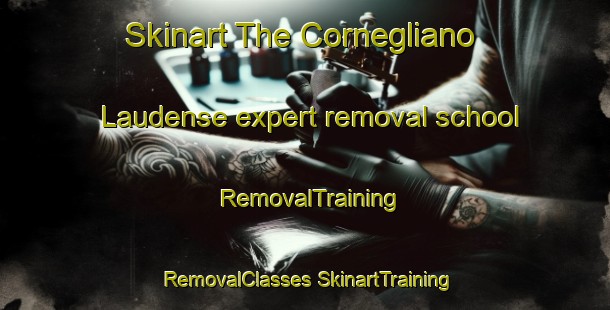 Skinart The Cornegliano Laudense expert removal school | #RemovalTraining #RemovalClasses #SkinartTraining-Italy