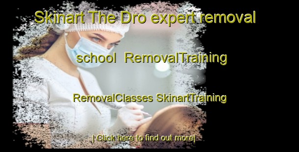 Skinart The Dro expert removal school | #RemovalTraining #RemovalClasses #SkinartTraining-Italy