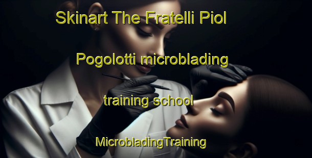 Skinart The Fratelli Piol Pogolotti microblading training school | MicrobladingTraining | MicrobladingClasses | SkinartTraining-Italy