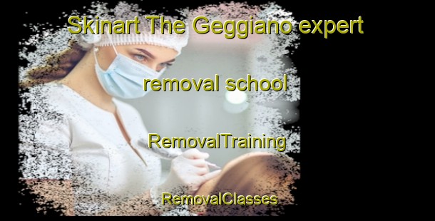 Skinart The Geggiano expert removal school | RemovalTraining | RemovalClasses | SkinartTraining-Italy
