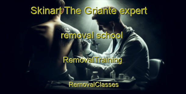 Skinart The Griante expert removal school | RemovalTraining | RemovalClasses | SkinartTraining-Italy
