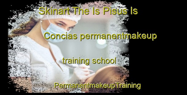 Skinart The Is Pisus Is Concias permanentmakeup training school | #PermanentmakeupTraining #PermanentmakeupClasses #SkinartTraining-Italy