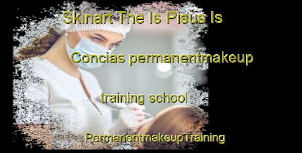 Skinart The Is Pisus Is Concias permanentmakeup training school | PermanentmakeupTraining | PermanentmakeupClasses | SkinartTraining-Italy