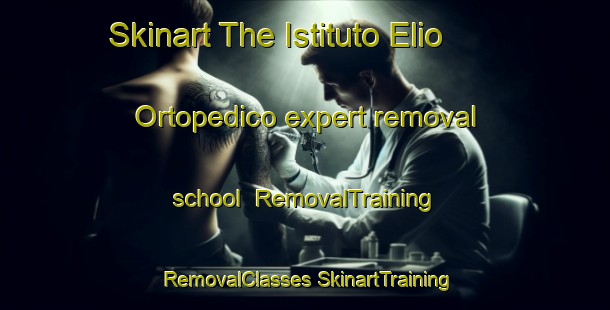 Skinart The Istituto Elio Ortopedico expert removal school | #RemovalTraining #RemovalClasses #SkinartTraining-Italy