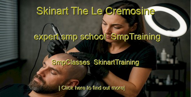 Skinart The Le Cremosine expert smp school | SmpTraining | SmpClasses | SkinartTraining-Italy