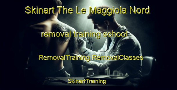 Skinart The Le Maggiola Nord removal training school | #RemovalTraining #RemovalClasses #SkinartTraining-Italy