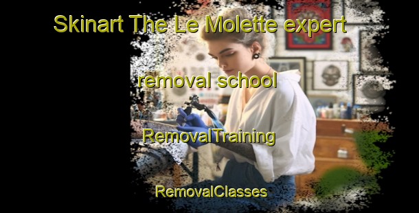 Skinart The Le Molette expert removal school | RemovalTraining | RemovalClasses | SkinartTraining-Italy