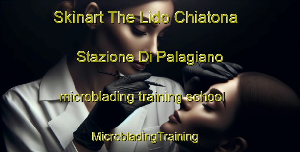 Skinart The Lido Chiatona Stazione Di Palagiano microblading training school | MicrobladingTraining | MicrobladingClasses | SkinartTraining-Italy