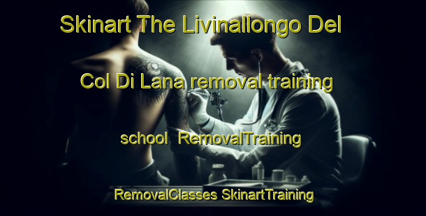 Skinart The Livinallongo Del Col Di Lana removal training school | #RemovalTraining #RemovalClasses #SkinartTraining-Italy