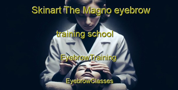 Skinart The Magno eyebrow training school | EyebrowTraining | EyebrowClasses | SkinartTraining-Italy