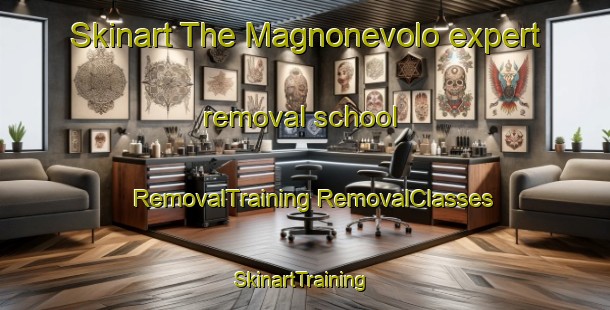 Skinart The Magnonevolo expert removal school | #RemovalTraining #RemovalClasses #SkinartTraining-Italy