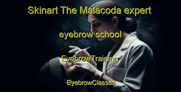Skinart The Malacoda expert eyebrow school | EyebrowTraining | EyebrowClasses | SkinartTraining-Italy