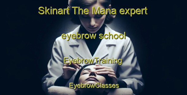 Skinart The Mana expert eyebrow school | EyebrowTraining | EyebrowClasses | SkinartTraining-Italy