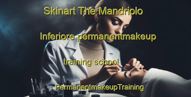 Skinart The Mandriolo Inferiore permanentmakeup training school | #PermanentmakeupTraining #PermanentmakeupClasses #SkinartTraining-Italy