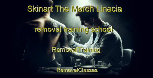 Skinart The Merch Linacia removal training school | RemovalTraining | RemovalClasses | SkinartTraining-Italy