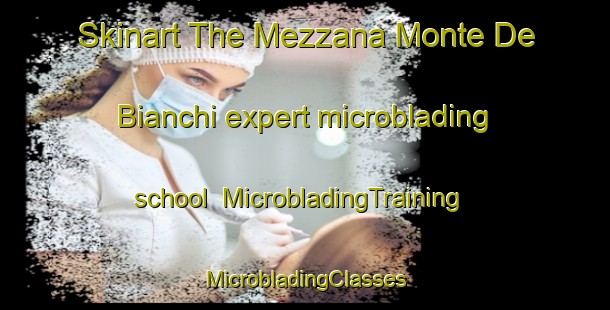 Skinart The Mezzana Monte De  Bianchi expert microblading school | #MicrobladingTraining #MicrobladingClasses #SkinartTraining-Italy