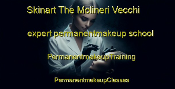 Skinart The Molineri Vecchi expert permanentmakeup school | #PermanentmakeupTraining #PermanentmakeupClasses #SkinartTraining-Italy