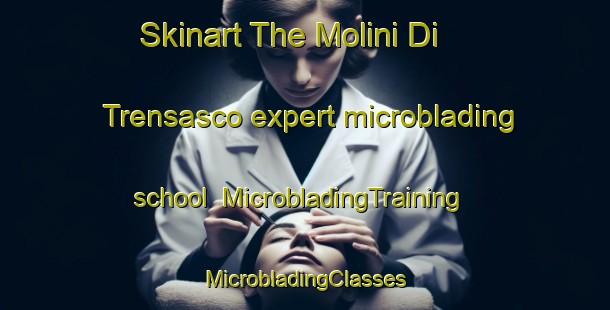 Skinart The Molini Di Trensasco expert microblading school | #MicrobladingTraining #MicrobladingClasses #SkinartTraining-Italy