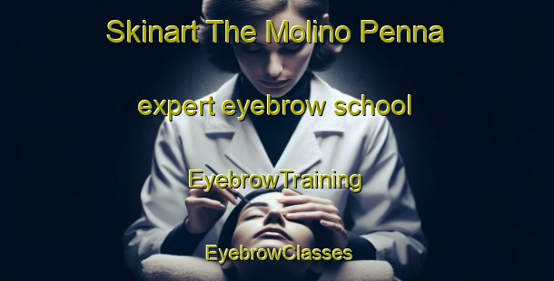 Skinart The Molino Penna expert eyebrow school | EyebrowTraining | EyebrowClasses | SkinartTraining-Italy