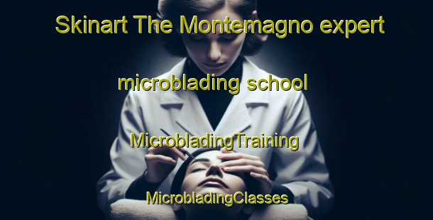 Skinart The Montemagno expert microblading school | #MicrobladingTraining #MicrobladingClasses #SkinartTraining-Italy